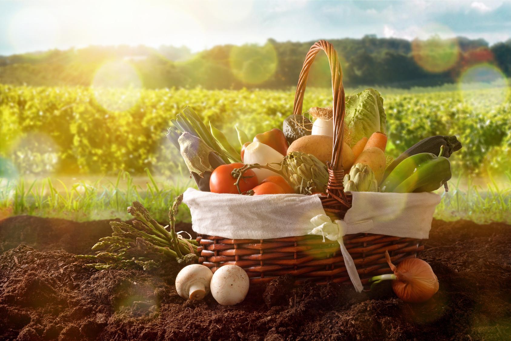 L'inattendu - Le menu retour du marché